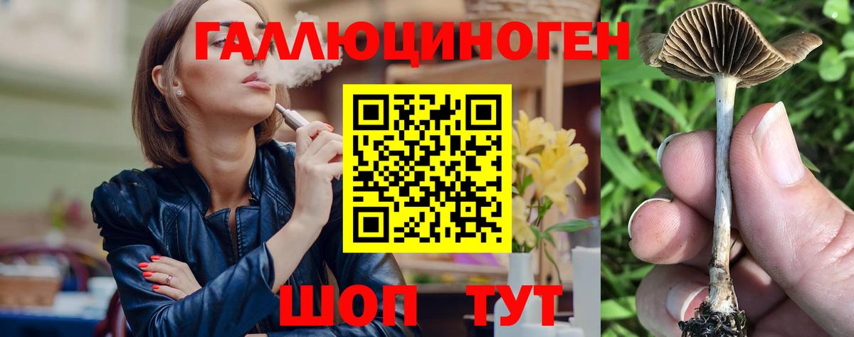Галлюциногенные грибы Magic Shrooms Шелехов