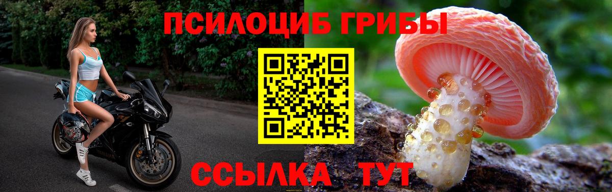 Галлюциногенные грибы ЛСД  Вход с VPN  Шелехов  Галлюциногенные грибы Psilocybe 